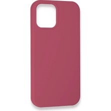 Datatek Newface iPhone 12 Pro Kılıf Lansman Legant Silikon - Fuşya