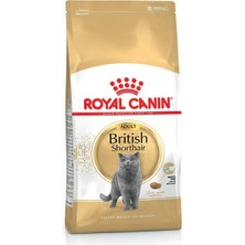 Üreticiniz Ashwork Royal Canin British Shorthair Adult Yetişkin Kedi Maması 2 kg 587455