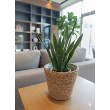 Dekoratif Hasır Saksılık