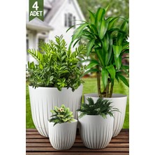 Nandy Home 4'lü Line Model Saksı Seti