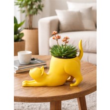 Dekoratif Esneyen Kedi Saksı-Bitki,Çiçek,Sukulent ve Kaktüs Saksısı-Modern Tarz Saksı