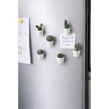 Kaktüs Buzdolabı Magneti 6'lı Set