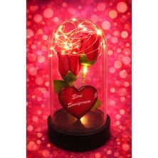 Piyan Kırmızı Gül Çiçek Demet Işıklı Fanus 14 Şubat Sevgililer Günü Hediyesi Seni Seviyorum Yazılı