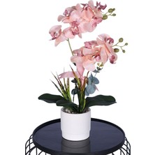 Yapay Çiçek Sitesi Dekoratif Beton Saksıda Yapay 2 Dal Orkide Çiçeği Somon