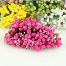 Belirtilmemiş Kırmızı Pitircik Cipso Çiçek