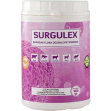 Surgulex Bağırsak Flora Premiksi 1000 gr – Büyükbaş & Küçükbaş Uyumlu