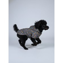 Kedi ve Köpek Kıyafeti & Elbisesi & Yağmurluğu - Siyah Pati Baskılı Fileli Yağmurluk