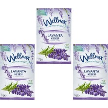 Wellnax Breeze Refresh Lavanta Kesesi Askılı Oda & Dolap Kokusu 21 G – 3’lü Set