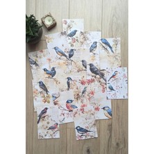 Kolbi Craft 15 Adet Eskitme Vintage Kuş Temalı Scrapbook Kağıt Seti Bullet Journal Dekupaj Kağıdı