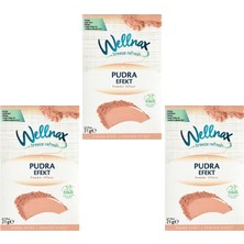 Wellnax Breeze Refresh Askılı Oda & Dolap Kokusu Pudra Efekt 21 G – 3’lü Set
