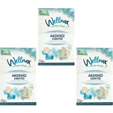Wellnax Breeze Refresh Askılı Oda & Dolap Kokusu Akdeniz Esintisi 21 G – 3’lü Set