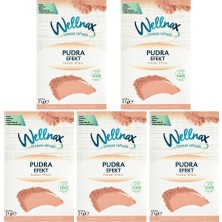 Askılı Oda & Dolap Kokusu Pudra Efekt 21 G – 5’li Set