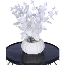 Yapay Çiçek Sitesi Küçük Kabak Saksıda Yapay Beyaz Okaliptus Şöleni