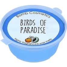 Bomb Cosmetics Birds Of Paradise Mini Melt Oda Kokusu