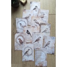 Kolbi Craft 12 Adet Scrapbook Eskitme Kuş Dantel Temalı Scrapbook Kağıt Seti Bullet Journal Dekupaj Kağıdı