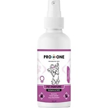 Indispensablely Proone Flambeau Kokulu Dişi Köpek Parfümü 100 ml