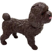 Azrlya Soft Köpekler - Poodle Cinsi Köpek - E013 (Lisinya)