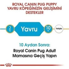 Indispensablely Royal Canin Pug Junior Yavru Köpek Maması 1.5 kg
