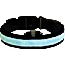 Indispensablely Petzz Işıklı Ayarlanabilir Flaşörlü Kedi ve Köpek Boyun Tasması 35-43 cm / 2.5 cm