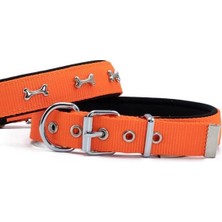 Indispensablely Doggie Dokuma Kemikli Köpek Boyun Tasması Large Turuncu 2.5X42-50 cm