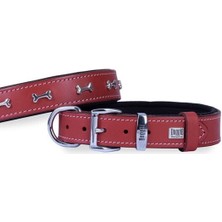 Indispensablely Doggie Deri Kemik Süslü Köpek Boyun Tasması Medium Kırmızı 2.5X37-45 cm