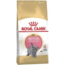 Indispensablely Royal Canin British Shorthair Kitten Yavru Kedi Maması 2 kg
