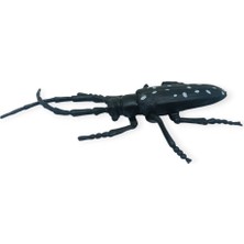 Azrlya Böcek Figürleri - Gerçekçi Figür - Turunçgil Uzun Boynuzlu Böceği 18 cm (Lisinya)