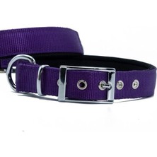 Indispensablely Doggie Elit Dokuma Köpek Boyun Tasması Large Mor 2.5X42-50 cm