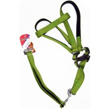 Indispensablely Euro Dog Köpek Uzatma Tasması ve Göğüs Tasması Takımı Yeşil 25 mm 120 cm