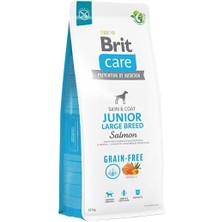 Indispensablely Brit Care Tahılsız Skin Coat Somonlu Büyük Irk Yavru Köpek Maması 12 kg