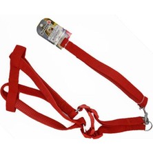 Indispensablely Euro Dog Köpek Uzatma Tasması ve Göğüs Tasması Takımı Kırmızı 20 mm 120 cm