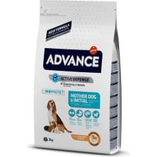 Indispensablely Advance Puppy Tavuklu Anne Yavru ve Hamile Köpek Maması 3 kg