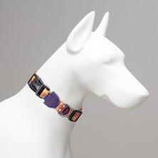 Indispensablely Lindo Dogs Ginger Man Köpek Boyun Tasması Turuncu Large