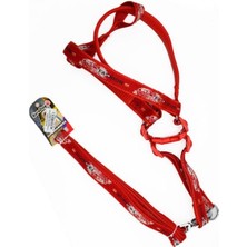 Indispensablely Euro Dog Köpek Uzatma Tasması ve Göğüs Tasması Takımı Kırmızı/beyaz 25 mm 120 cm