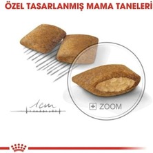 Indispensablely Royal Canin Mini Exigent Adult Yetişkin Köpek Maması 3 kg