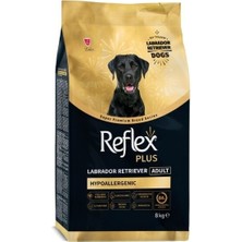 Indispensablely Hypoallergenic Labrador Retriever Tavuklu Yetişkin Köpek Maması 8 kg