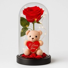 Marsilyan LED Işıklı Mika Fanus İçinde Gül ve Lüx Peluş Ayıcık – 20 cm Sevgiliye Hediye
