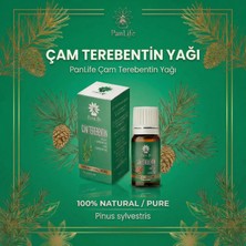 PanLife Çam Terebentin Yağı %100 Doğal – Saf & Katkısız Aromaterapi Yağı( Eczacı Kuruluşudur.)