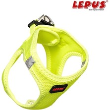 Indispensablely Lepus Köpek Göğüs Tasması Xxsmall Sarı