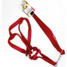 Indispensablely Euro Dog Köpek Uzatma Tasması ve Göğüs Tasması Takımı Kırmızı 15 mm 120 cm