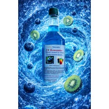 Coffee Naturelle Egzotik Aromalı Konsantre Buzlaş Ice Slush Şurubu 1 Koli  12 adet