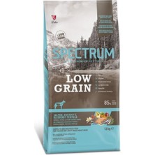 Indispensablely Spectrum Düşük Tahıllı Somonlu Hamsili ve Yaban Mersinli Orta ve Büyük Irk Yetişkin Köpek Maması 12