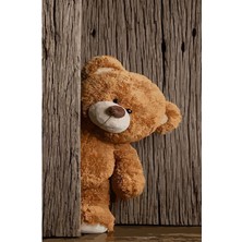 Kilim Home Modern 46 Stil Ayı Figürlü Çocuk Odası Halısı Yıkanabilen Dekoratif Halı