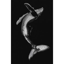 Kilim Home Mars 49 Modern Stil Siyah Balina Halı ve Kilim Salon Halısı Yıkanabilen Dekoratif Halı