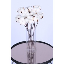 Yapay Çiçek Sitesi Doğal Beyaz Pamuk Çiçeği 10LU 30 cm