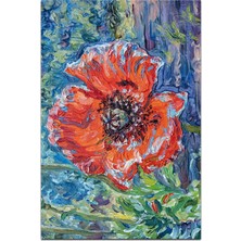 Kilim Home Mars 163 Gelincik Kırmızı Lacivert Tuval Boya Efektli Dokuma Taban Halı