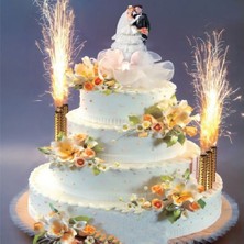 İSMİYLEAL Ismiyl   Pasta Tabı 1 Adet 255669