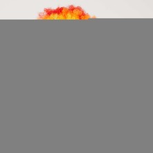 İsmiyle Al Rengarenk Kıvırcık Afro Bonus Peruk