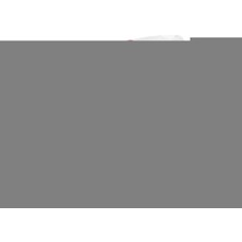 İsmiyle Al Çok Amaçlı Halı ve Koltuk Temizleme Fırçası Pratik Temizlik El Mopu TP-334 (5047)