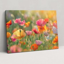 Popcas  Renkli Gelincikler Modern Sanat Kanvas Tablo